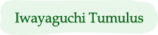 Iwayaguchi Tumulus
