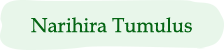 Narihira Tumulus