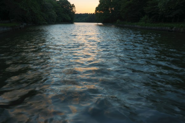 大池公園の夕景