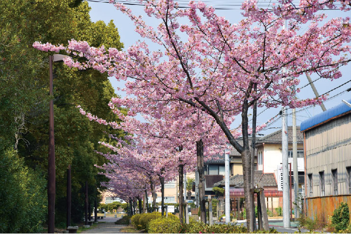 加家公園