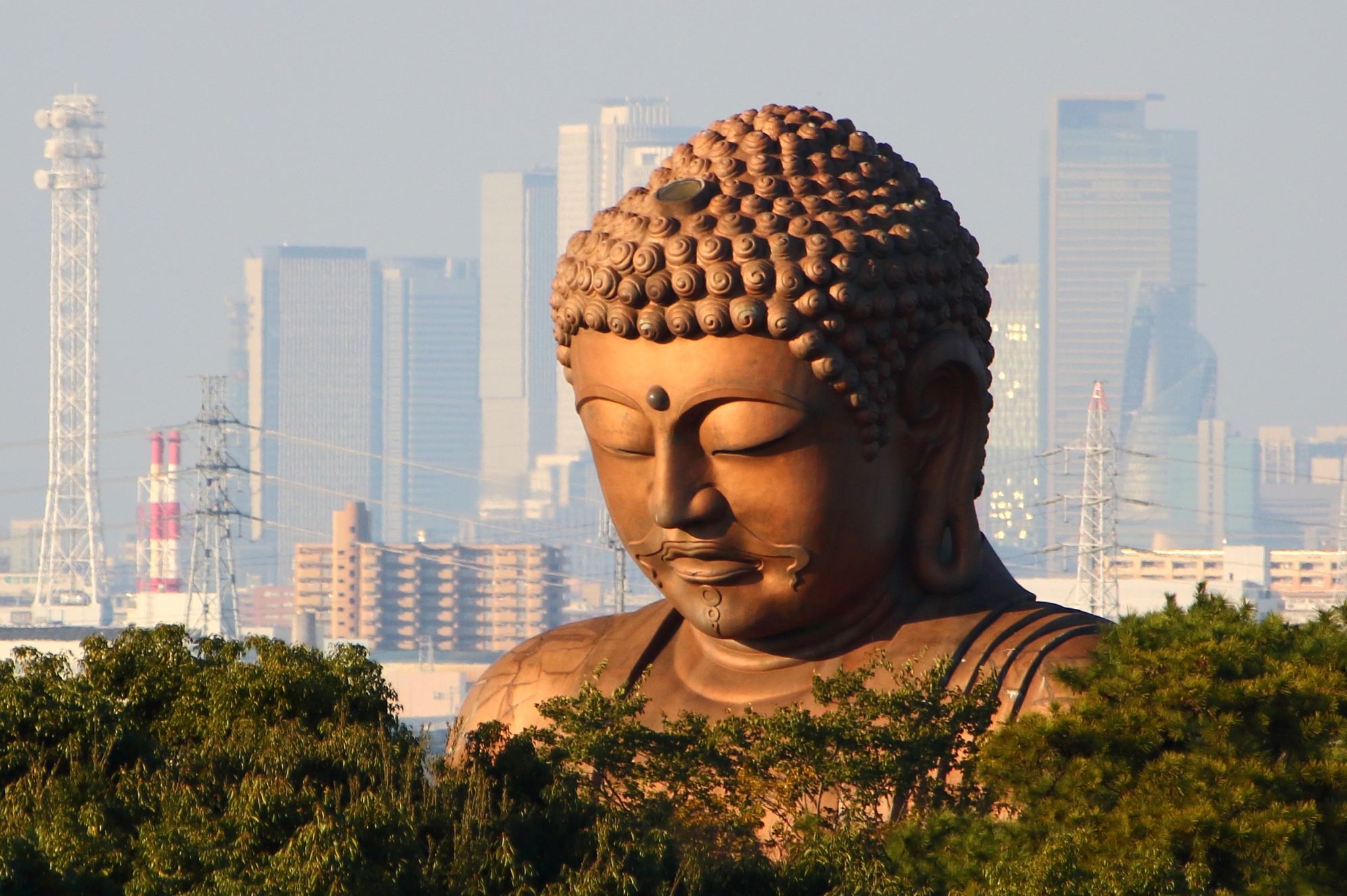 夕日に輝く大仏様