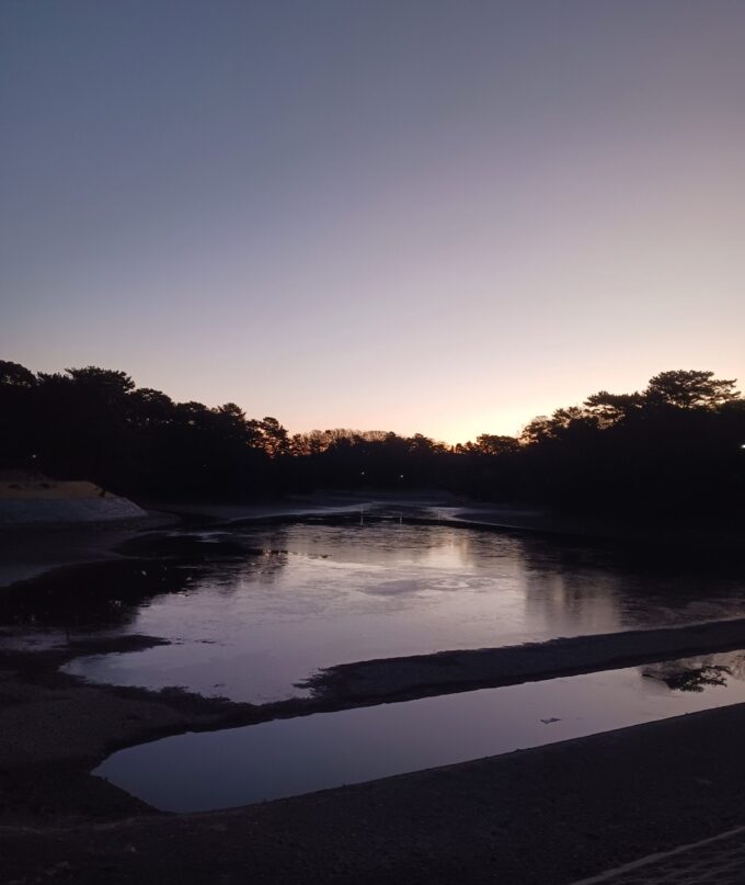 大池公園　朝焼け