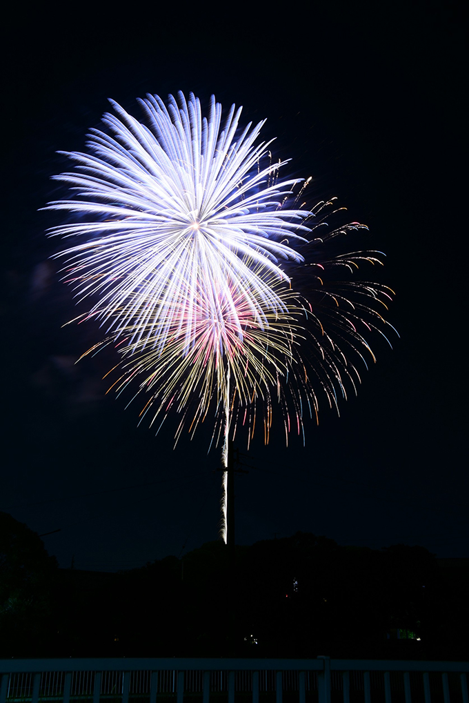 大池公園花火