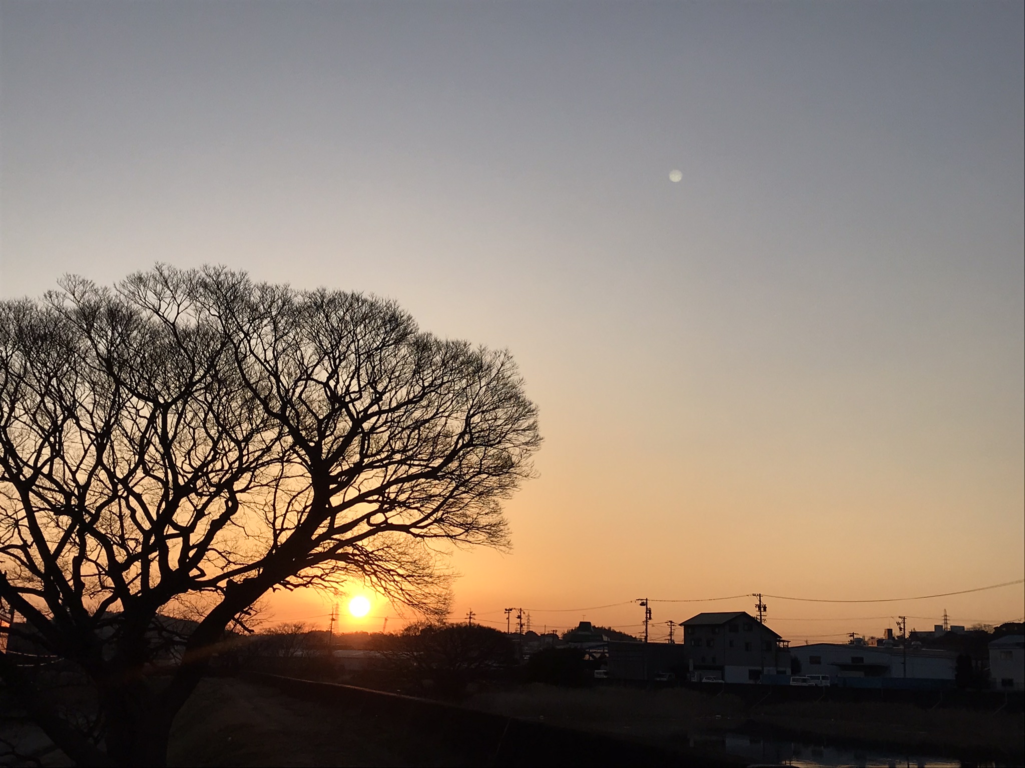 東海市名和町トドメキ川の朝陽