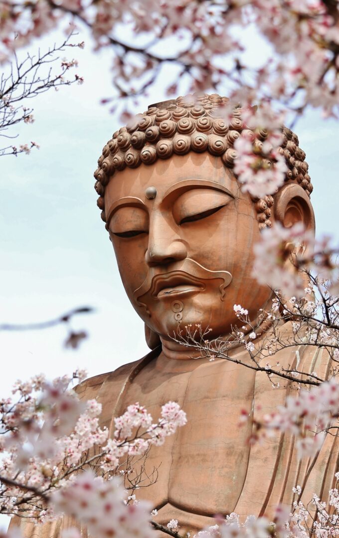 聚楽園公園　桜と大仏