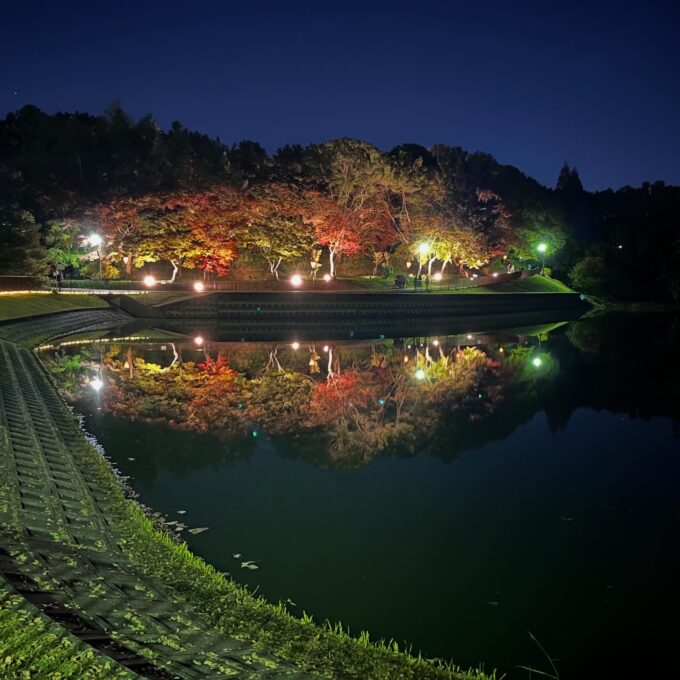 聚楽園公園もみじまつりライトアップ（2025.11.24）