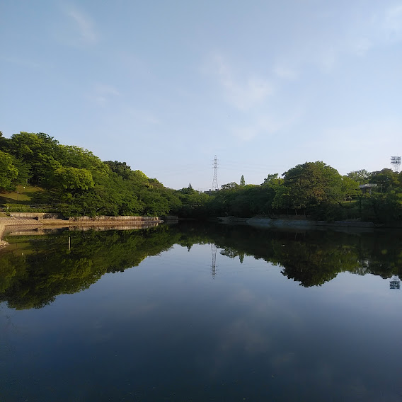 大池公園新緑