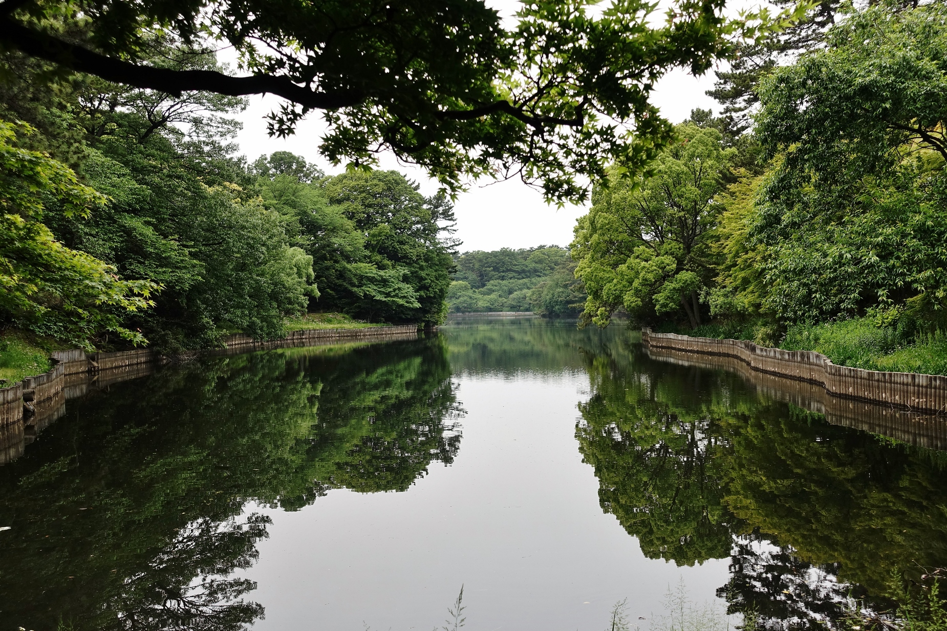 大池公園水鏡