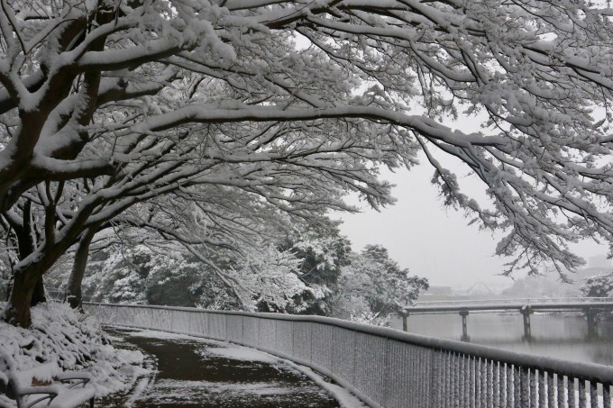 大雪　聚楽園公園