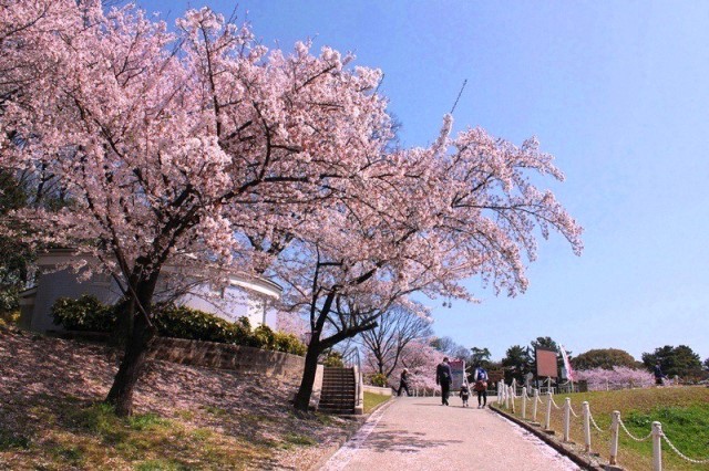 大池公園14