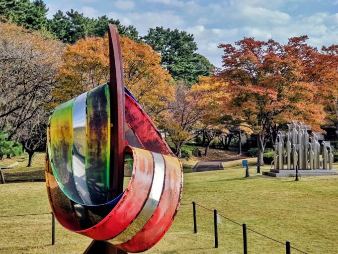 聚楽園公園もみじ（2025.11.7）