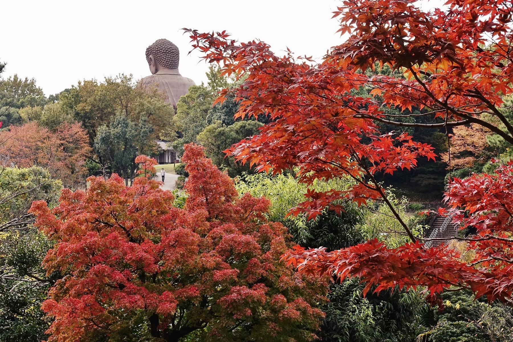 聚楽園公園　大仏と紅葉