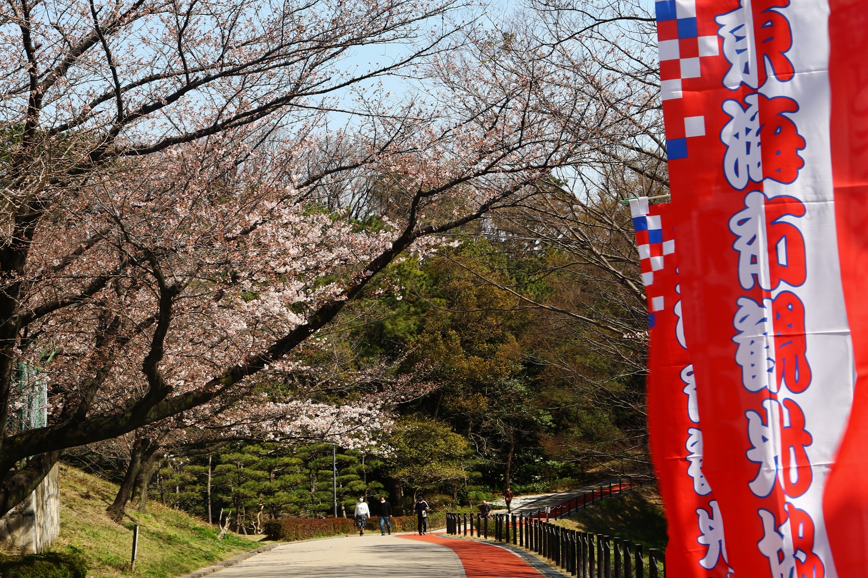 大池公園さくらまつりR3