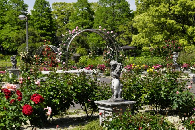 元浜公園2025.5.8