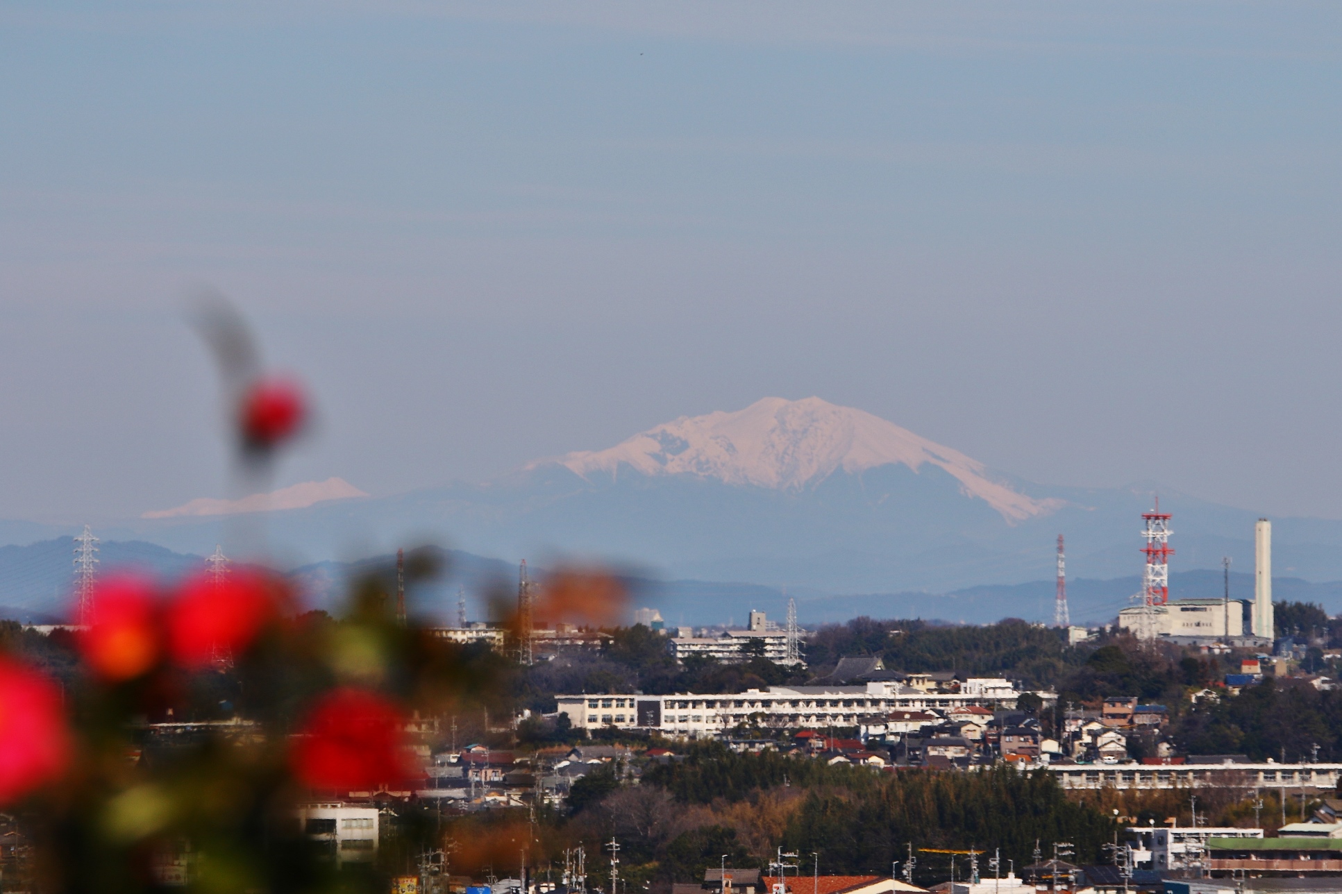 加木屋緑地お雉山