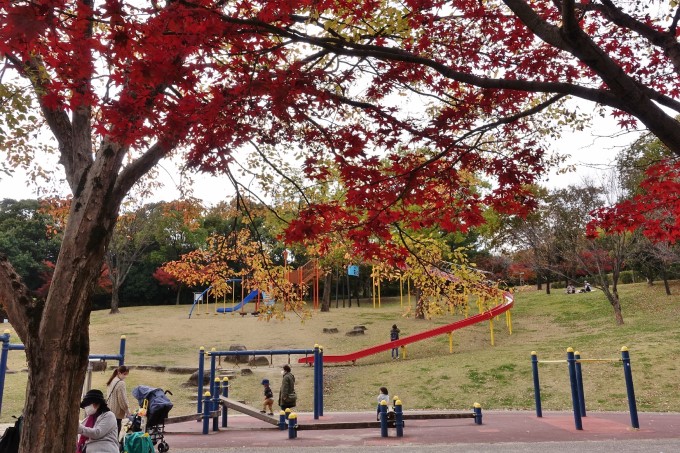 聚楽園公園滑り台と紅葉
