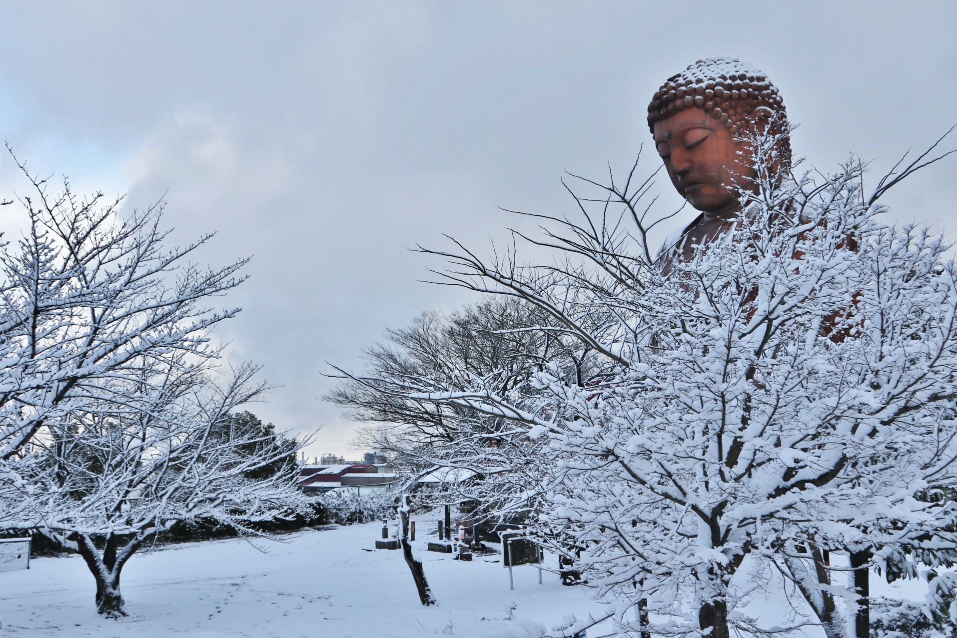 雪の聚楽園公園