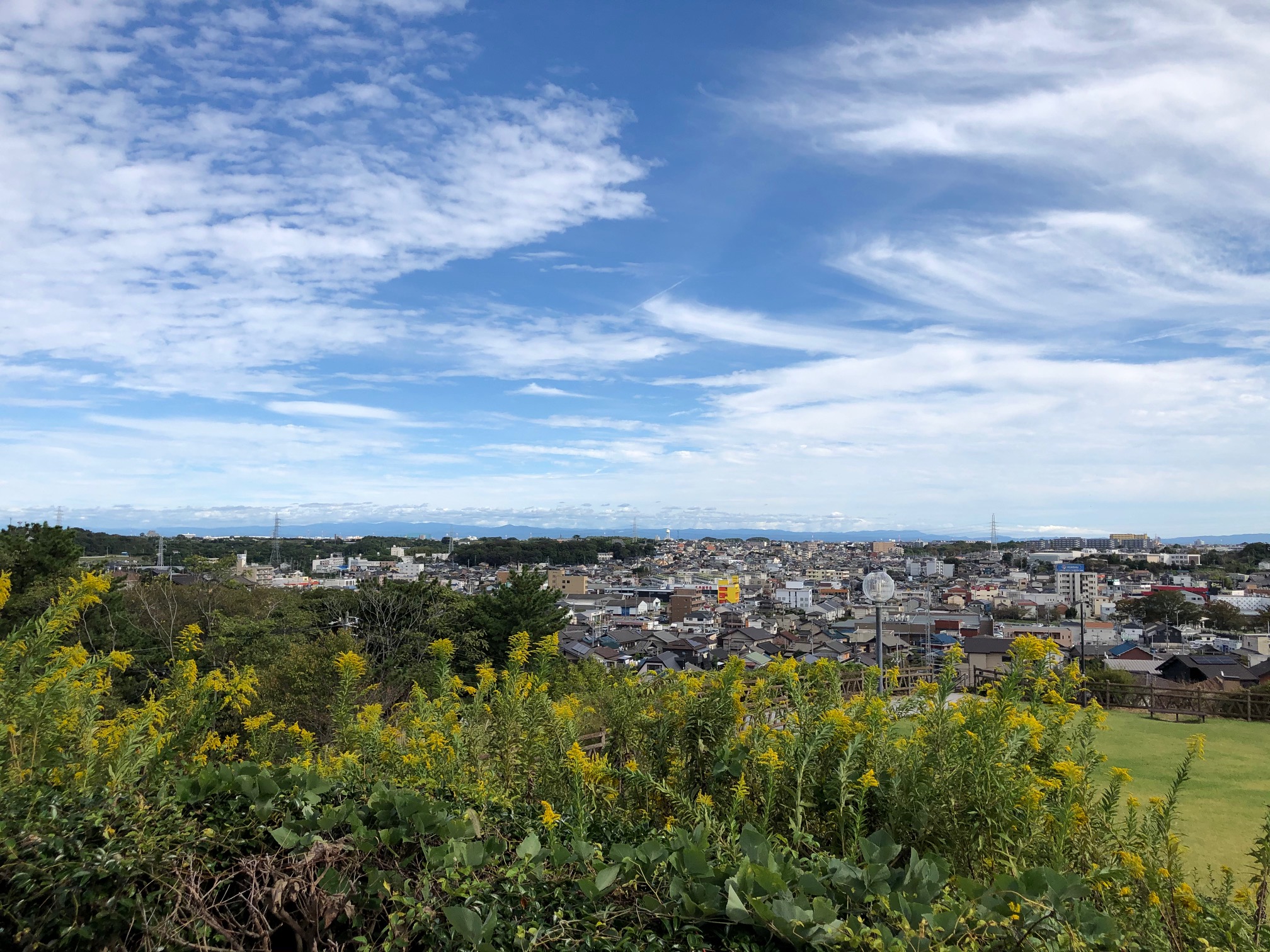 大池公園　展望台からの景色