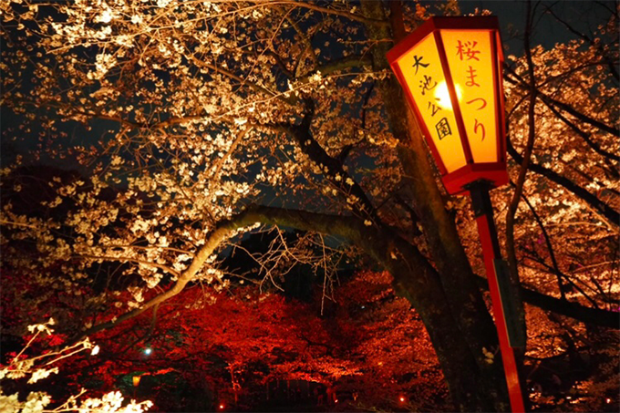 大池公園の桜まつりで