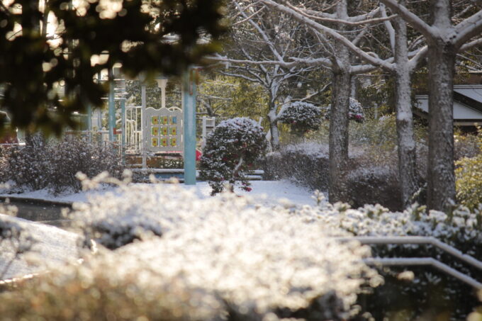 池下公園　雪景色