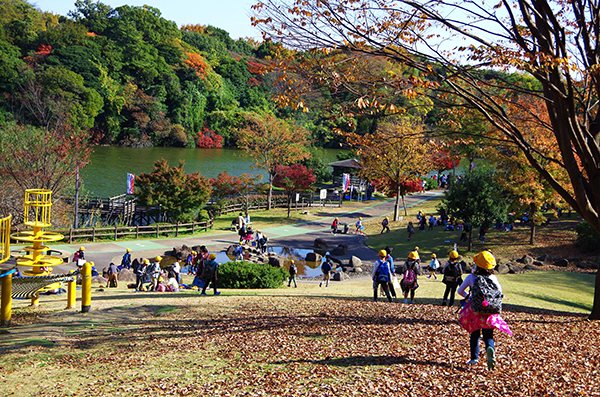 秋の聚楽園公園