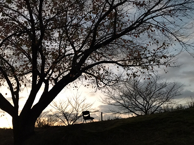 平地公園野球場の南