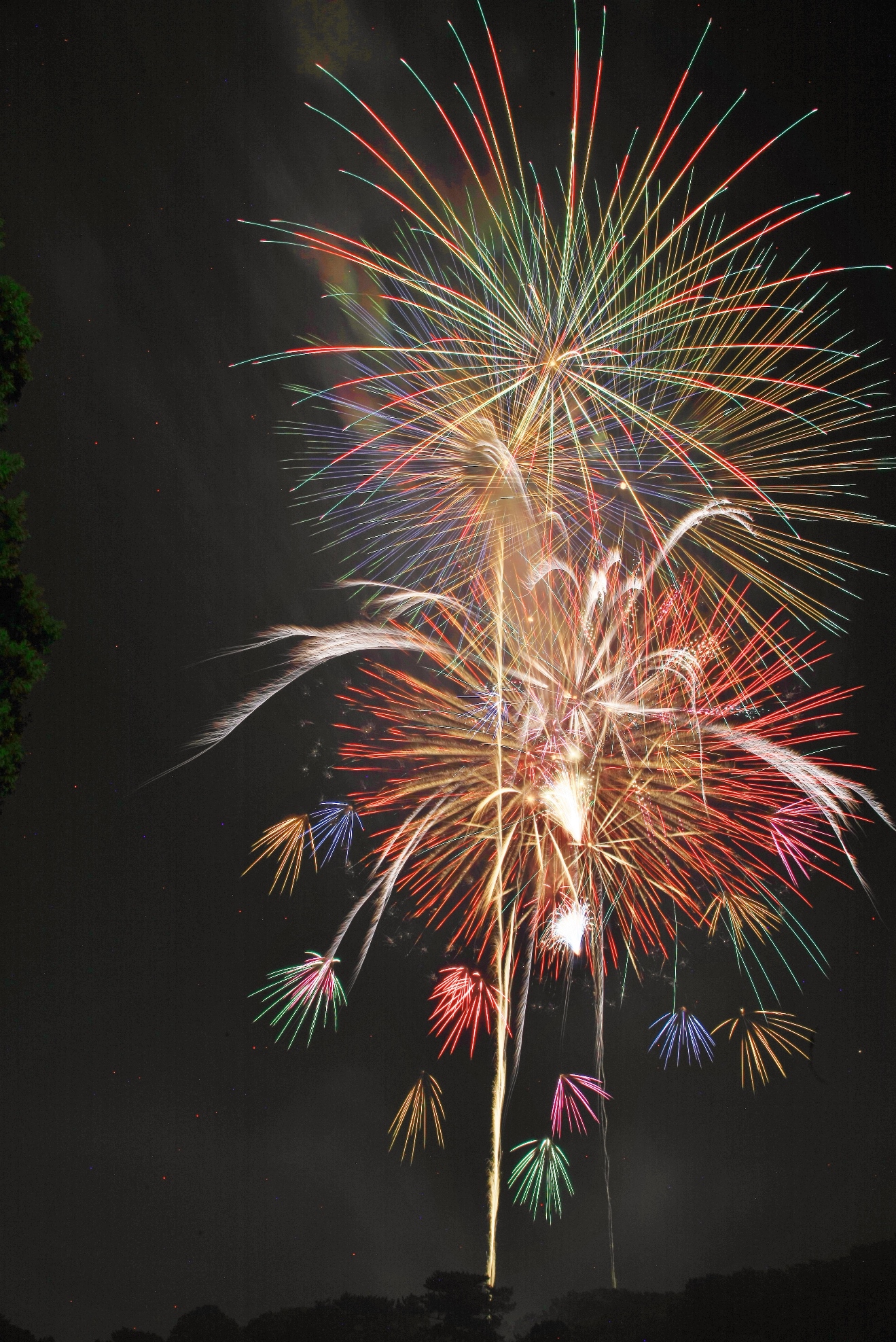 大池公園　花火大会