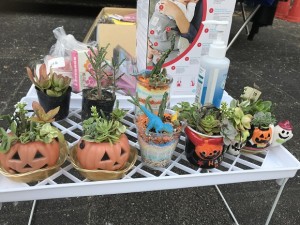 IMG_1931