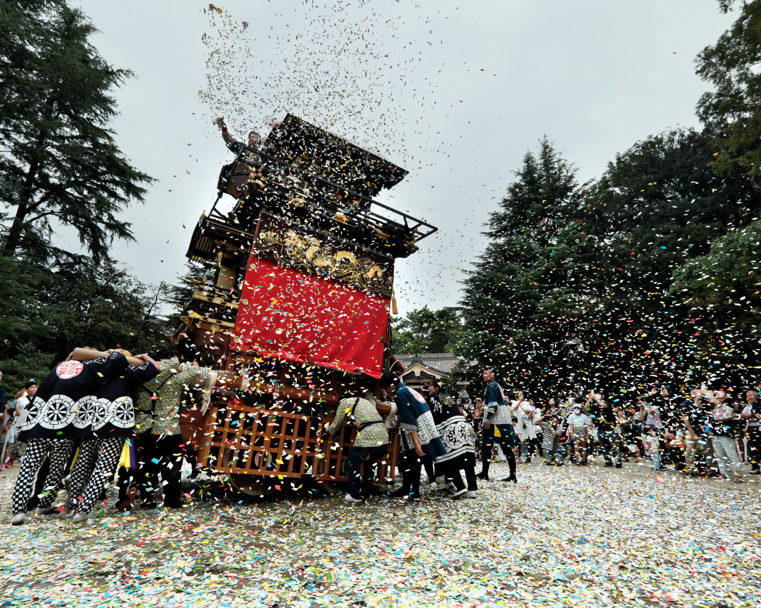 花吹雪舞う