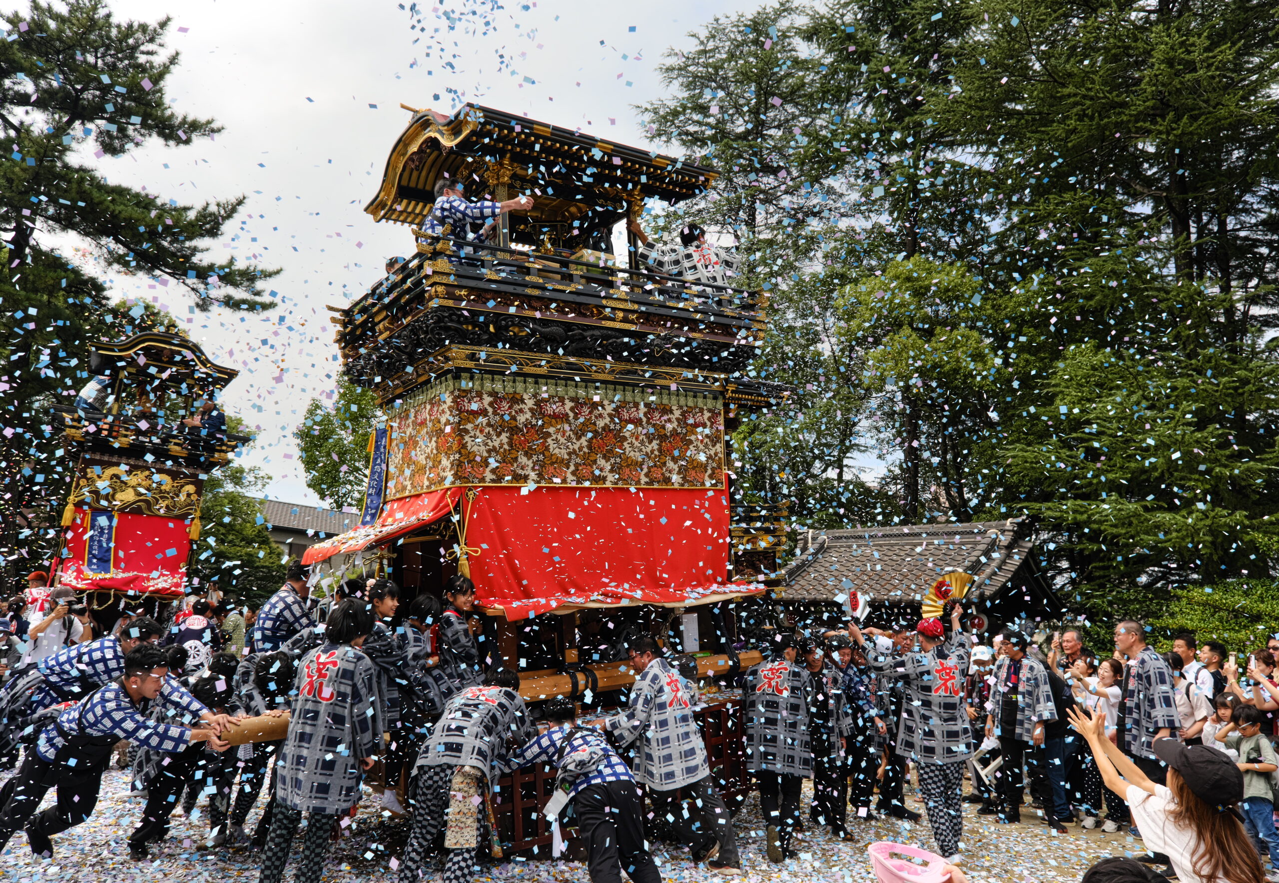 花吹雪舞い踊る