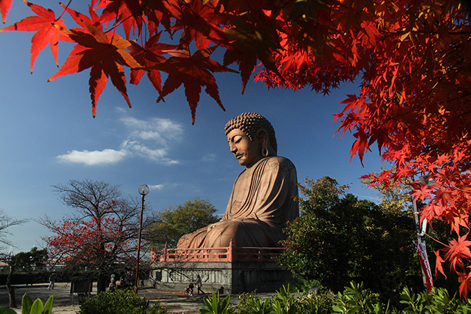 深紅の公園