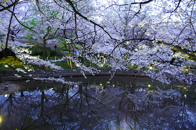 花明かり