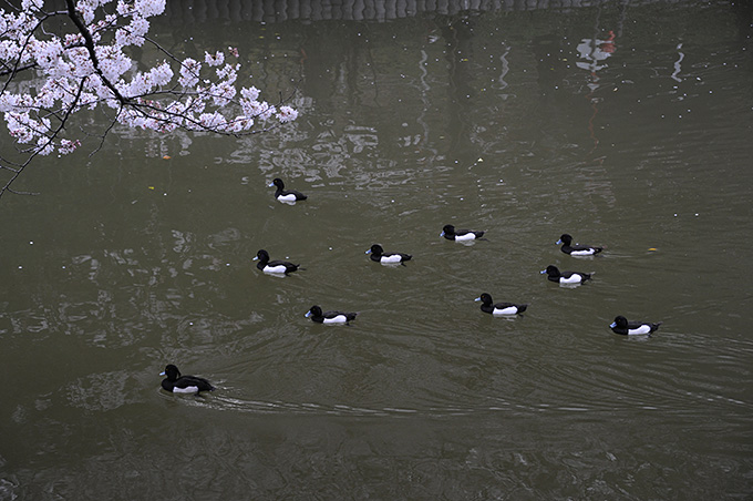 水ぬるむ