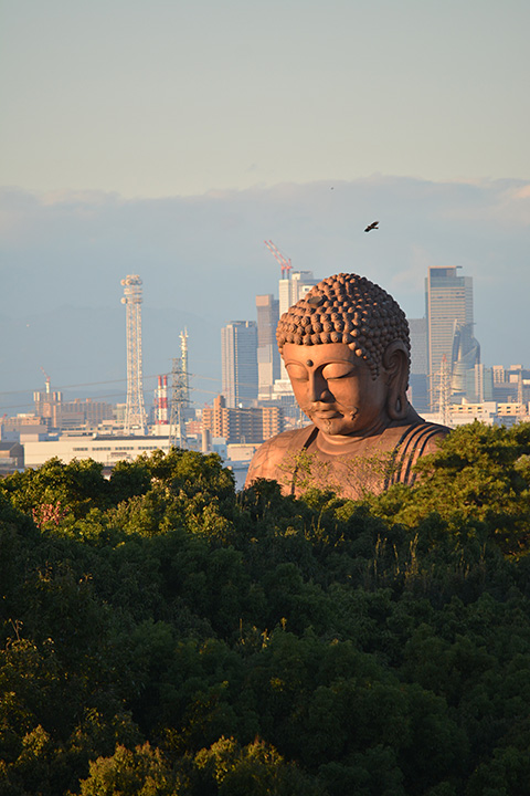 大仏と高層ビル