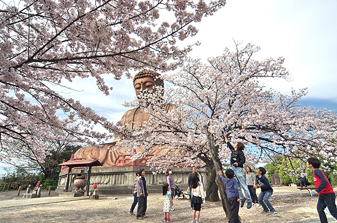 大仏様も目で笑い