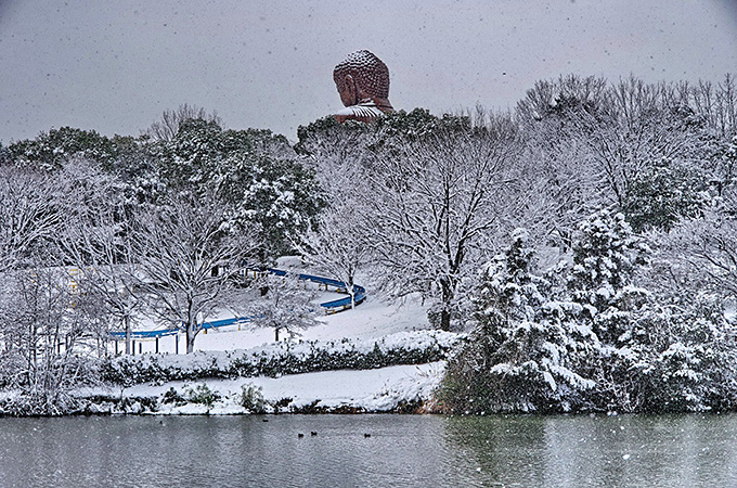 初雪の朝