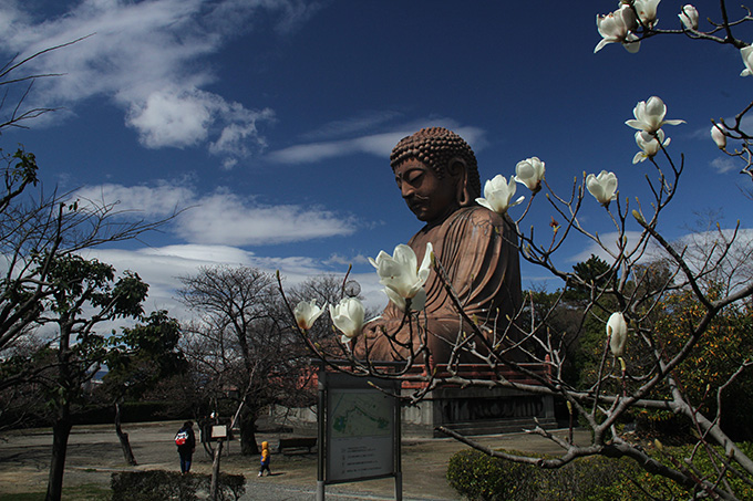 早春の公園