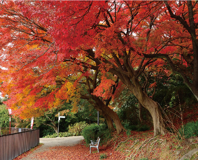 聚楽園公園