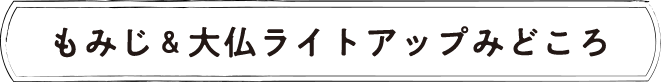 もみじ＆大仏ライトアップみどころ