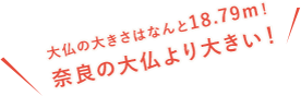 大仏の大きさはなんと18.79m！奈良の大仏より大きい！