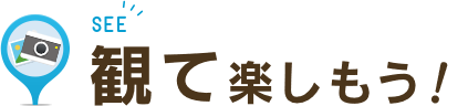 観て楽しもう！