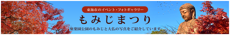 東海市のイベント･フォトギャラリー もみじまつり