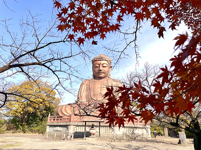 聚楽園公園もみじまつり