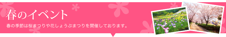 春のイベント　春は桜まつりや花しょうぶまつりを開催しております。