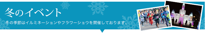 冬のイベント 冬の季節はイルミネーションやフラワーショウを開催しております。