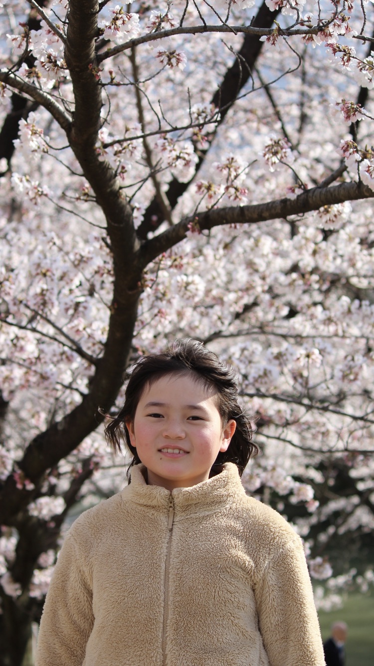 桜まつり