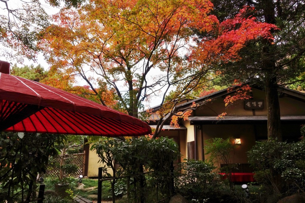 聚楽園 嚶鳴庵 紅葉