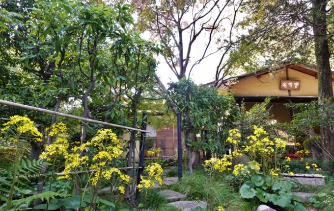 聚楽園公園（2025.11.14）