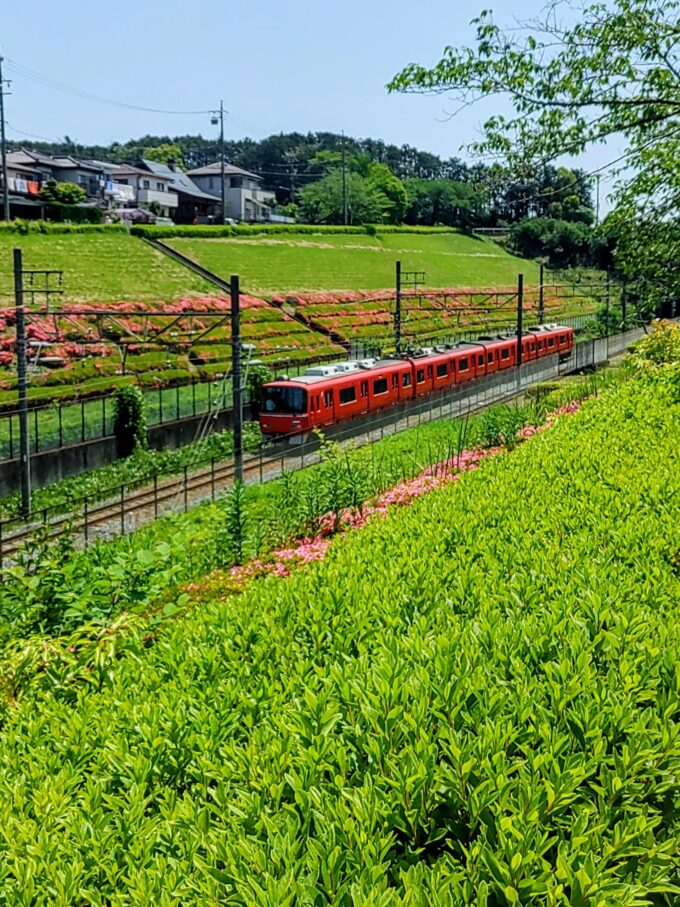 加木屋中ノ池駅