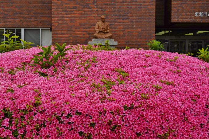 大池公園サツキ